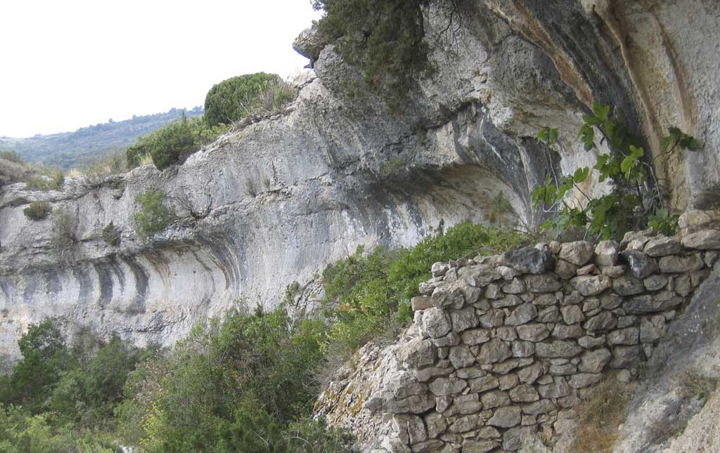 Minerve-2