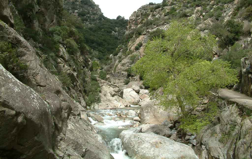 Mountains-4